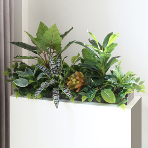 仿真植物微景观彩虹芋巴西木绿植造景隔断花槽室内餐厅假植物装饰