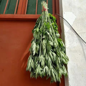 【干菖蒲】干菖蒲品牌,价格 - 阿里巴巴