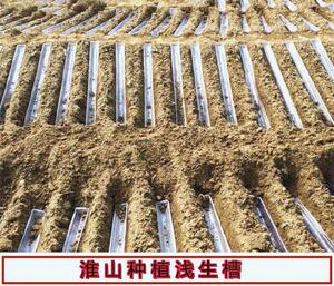淮山u型模横向槽u形槽塑料条形槽培育管种植浅生槽实用山药浅装
