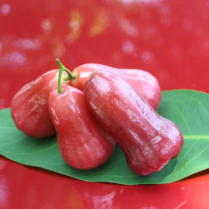 特级海南黑金刚莲雾 净果3斤 中国石油 昆仑好客 海南