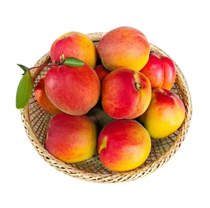 红梅杏 2.5kg/箱  中国石油 昆仑好客 宁夏 (预售)