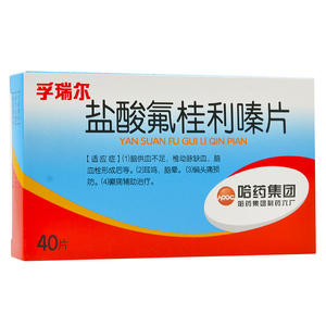 盐酸氟桂利嗪片