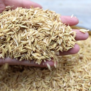 农家粗糠稻谷壳谷皮稻料u宠枕头水稻糠壳物垫谷鸡鸭鹅饲料包邮