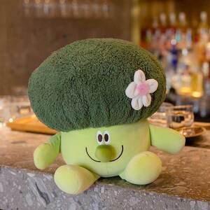 ins网红呆萌花椰菜公仔毛绒玩具西蓝花布娃娃可爱抱枕玩偶礼物女
