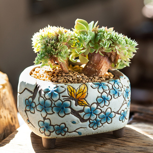 仙人球花盆大号浅口盆景大宽口多肉田园高档客厅时尚花盆