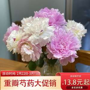 山东芍药鲜花重瓣家用插花进口沙拉鲜切花鲜花店牡丹落日珊瑚直发