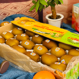 礼盒7斤新西兰进口zespri佳沛金果30个黄心奇异果猕猴桃新鲜水果