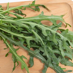 芝麻叶新鲜生菜芝麻菜250g火箭菜新鲜即食西餐食材蔬菜沙拉轻食