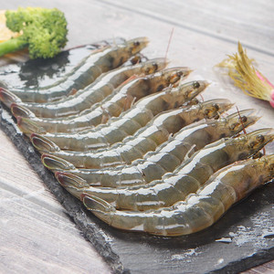 新鲜野生对虾鲜活基围虾鲜冻商用大活虾青虾明虾海虾海鲜生鲜速冻