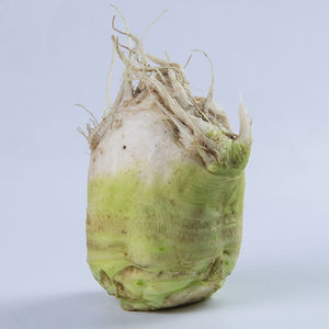 四川特产新鲜大头菜