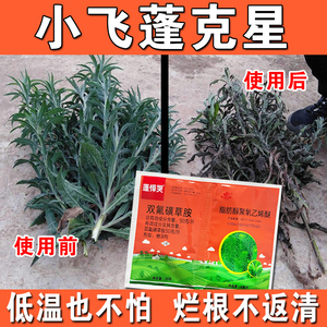 小飞蓬克星除草剂烟草大豆等果园荒地除杂草农药乙烯利双氟磺草胺