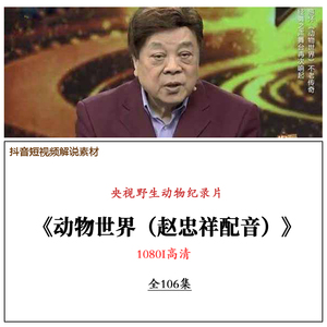 央视野生动物纪录片《动物世界(赵忠祥配音》抖音短视频解说素材