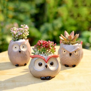 造型陶瓷小花盆