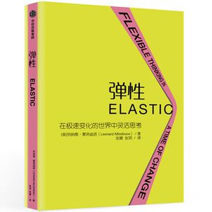中灵活思考 列纳德蒙洛迪诺 著 弹性思维 商业思维 中信出版社图书