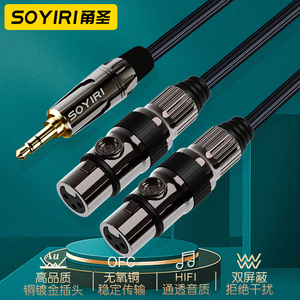 SOYIRI3.5mm转双卡农母小蜜蜂电脑xlr卡侬功放调音台录音频连接线