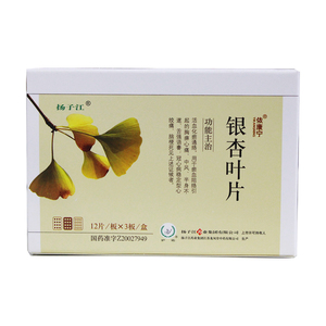 依康宁银杏叶片