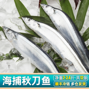 秋刀鱼新鲜冷冻12条烧烤海鲜水产冰冻海鱼海捕秋刀鱼特大号