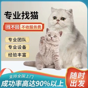 广州深圳专业寻猫团队找狗宠物侦探救援宠物寻找宠物猫丢了