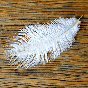 鸟毛真羽毛服装