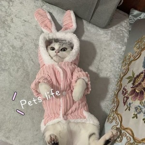 猫咪衣服可爱加厚兔子衣服布偶英短泰迪比熊小型狗狗衣服秋冬保暖