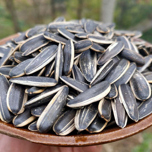 贵州铁锅手工炒瓜子原味熟瓜子葵花籽原味大瓜子现炒现卖5斤包邮