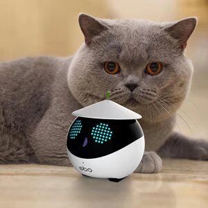 远程遥控猫猫玩具自嗨小猫幼猫解闷神器电动智能自动逗猫宠物用品