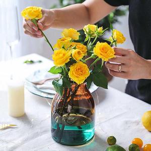 鲜花瓶插花瓶客厅小清新