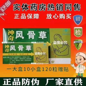 正品包邮 神奇风骨草胶囊 内服外用一大盒10小装赠送10贴药贴