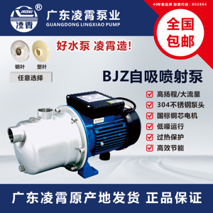 广东凌霄bjz增压泵家用全自动静音自来水不锈钢自吸喷射型抽水泵