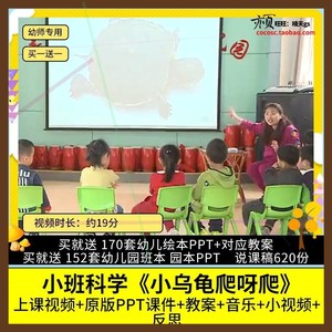幼儿园优质公开课小班科学活动《小乌龟爬呀爬》视频PPT课件教案