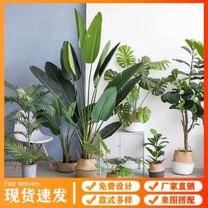 仿真橄榄树盆栽大型落地植物装饰网红侘寂风绿植造景防真室内假树