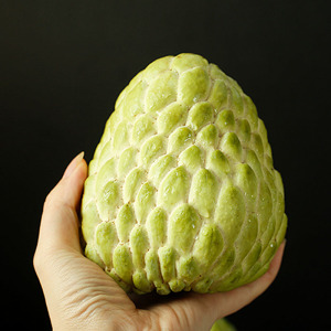 顺丰包邮台湾牛奶释迦果3斤特大果凤梨番荔枝摩尼果佛头果刺果