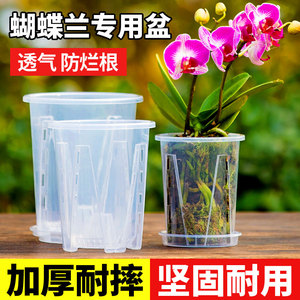 蝴蝶兰花盆专用透明透气塑料加厚耐用树脂青山盆栽控根家用盆景盆