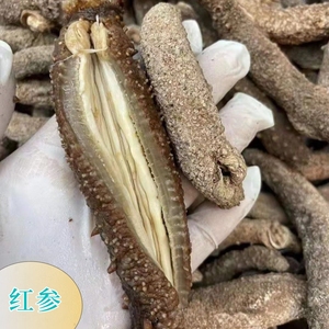 红参美国阿拉斯加北美9年海参红参淡干货刺参500克包邮非大连参