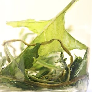 蒲公英刺玫花茶刺玫茶女性加和刺玫菊茶谷谷n丁赤玫花茶 刺梅菊茶