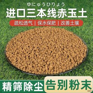 日本进口多肉盆景专用赤玉土三本线正品植物爬宠铺面石颗粒营养土