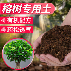 榕树专用土营养土榕树肥料通用种植老桩榕树盆景疏松透气有机土壤