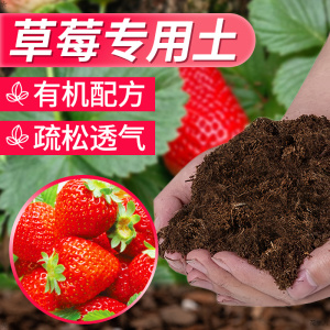 草莓专用营养土瓜果树通用土壤草莓盆栽种植土阳台有机土肥料批发