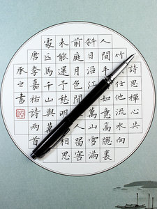 紫云庄王者练字钢笔书法笔专1书法钢笔美工笔学生专用硬笔书法笔