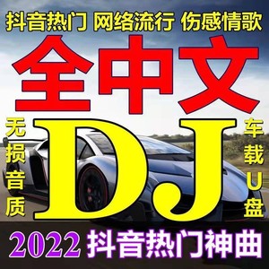 dj歌曲u盘中文