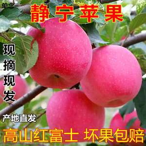 甘肃静宁苹果红富士苹果新鲜水果脆冰糖心萍果整箱包邮甜苹果孕妇