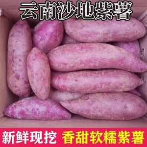 云南红河沙地紫薯农家自种紫薯新鲜10斤板栗紫心小番薯地瓜紫罗兰