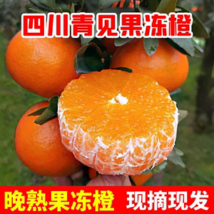 四川青见果冻橙晚熟柑橘新鲜应季现摘水果桔子大果橙子整箱批发