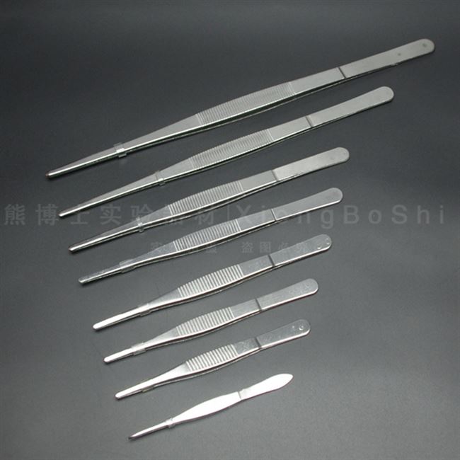 实验室镊子cm16cm熊博士实验耗材不锈钢镊子直头敷料镊子12.