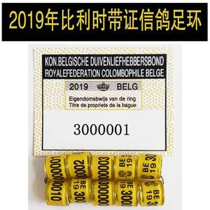 20带信鸽足环 外籍信鸽脚环外国信鸽用品用具鸽子环