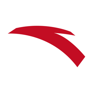 国牌服饰运动品牌logro印花安踏烫画热转印皮革胶印衣服标志贴.