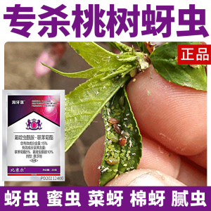 桃树蚜虫专治专用药克星氟啶虫酰胺联苯菊酯黄蚜虫棉蚜虫杀虫剂