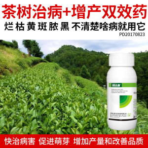 茶树病全治专用药乙蒜素增产增收黑斑炭疽病霜霉根腐病农药杀菌剂