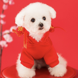 过年狗狗新年红色衣服秋冬装泰迪猫咪喜庆拜年比熊宠物保暖小型犬