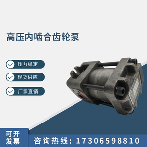 上海航发NBZ4-G40F50FG63FNBZ5-G80G100G125高压油泵内啮合齿轮泵